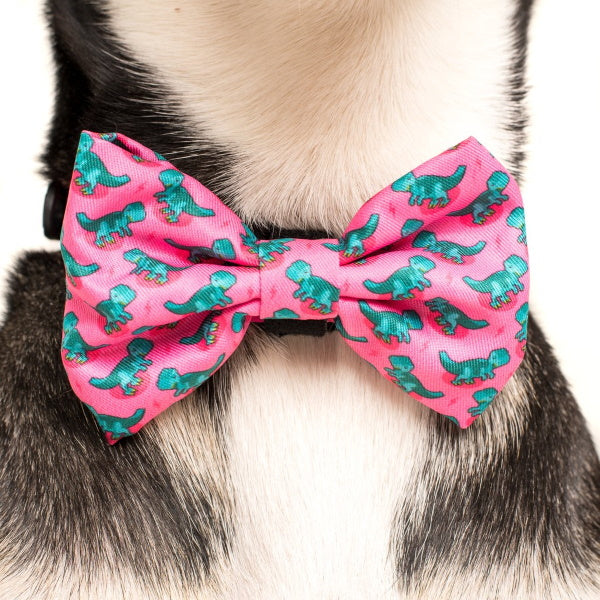 Big & Little Dogs Princess-asaurus Collar & Bow Tie