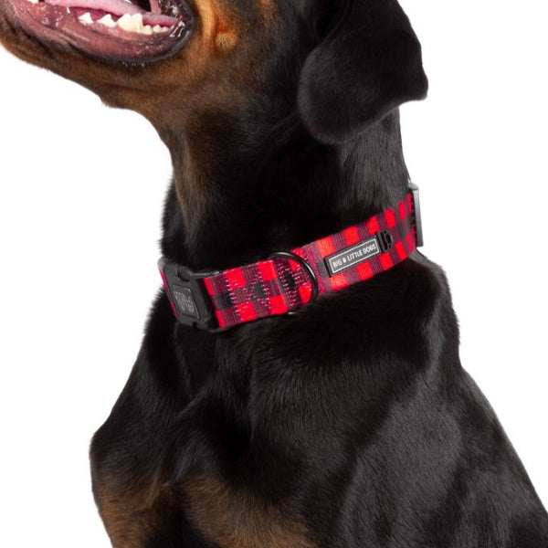 Big & Little Dogs Plaid to the Bone Collar & Bow Tie