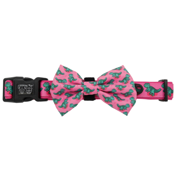 Big & Little Dogs Princess-asaurus Collar & Bow Tie