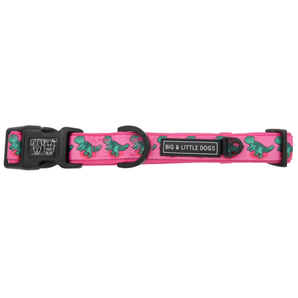 Big & Little Dogs Princess-asaurus Collar & Bow Tie