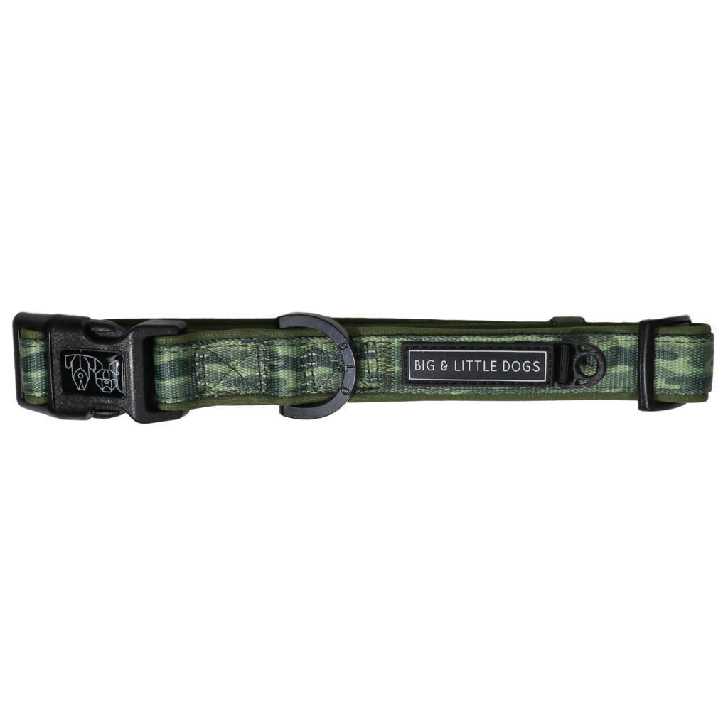 Big & Little Dogs Camouflaged Collar & Bow Tie