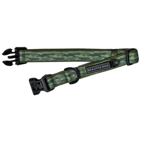 Big & Little Dogs Camouflaged Collar & Bow Tie