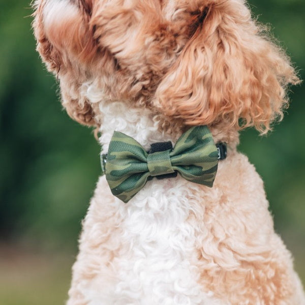 Big & Little Dogs Camouflaged Collar & Bow Tie