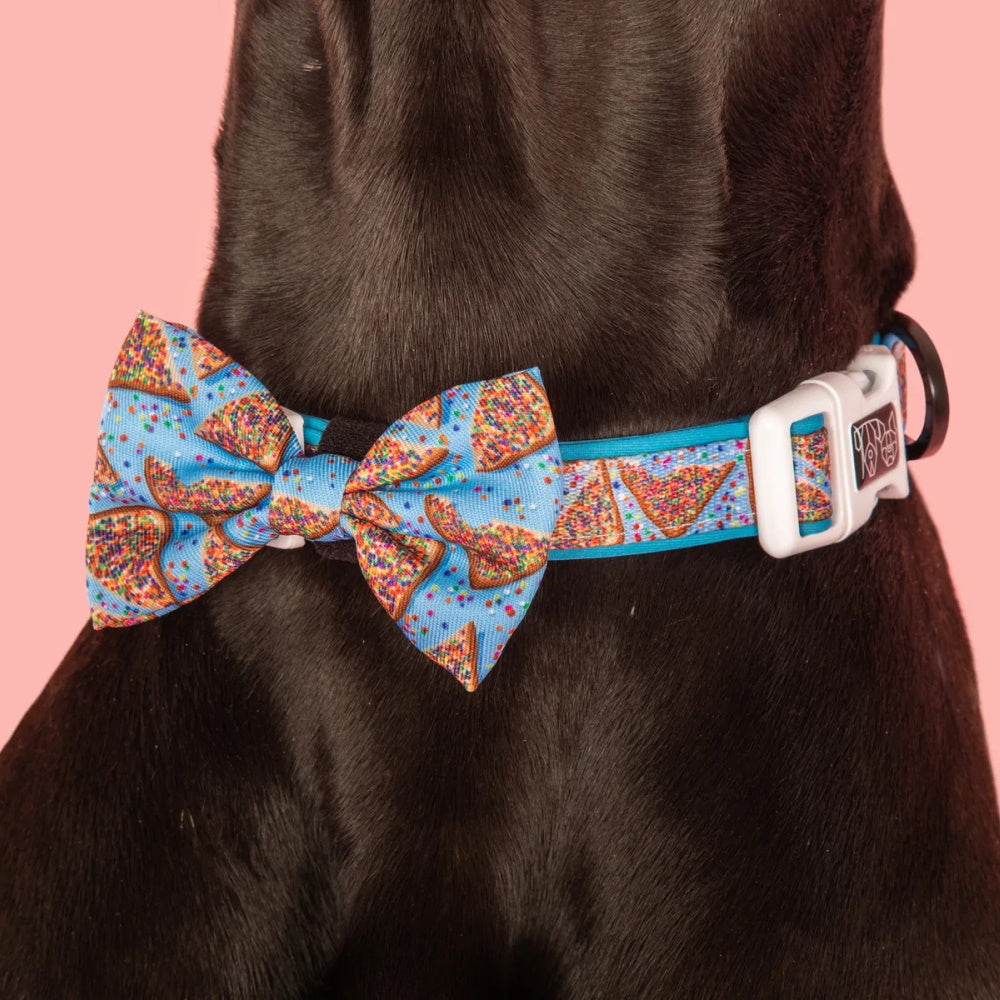 Big & Little Dogs Blue Fairy Bread Collar & Bow Tie