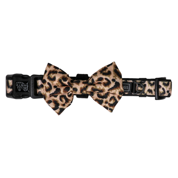 Big & Little Dogs Luxurious Leopard Collar & Bow Tie