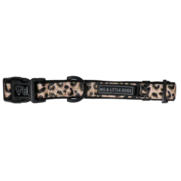 Big & Little Dogs Luxurious Leopard Collar & Bow Tie