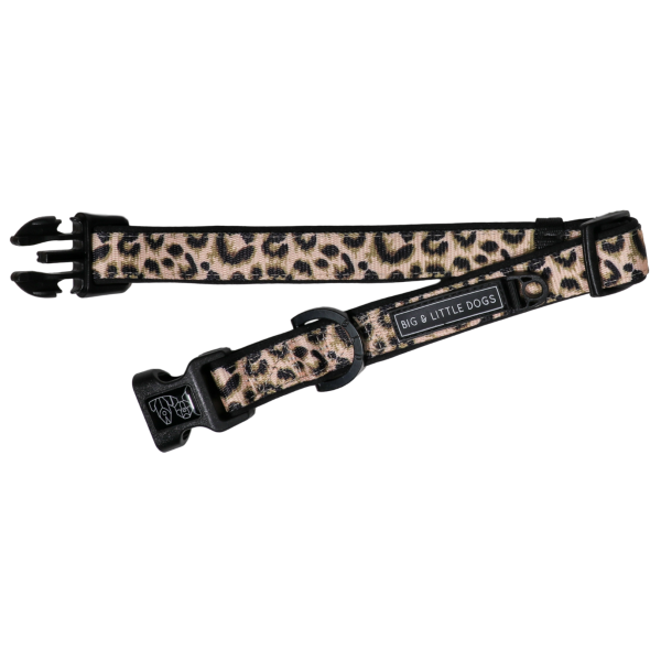 Big & Little Dogs Luxurious Leopard Collar & Bow Tie