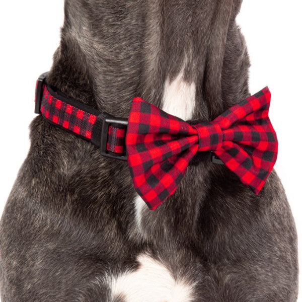 Big & Little Dogs Plaid to the Bone Collar & Bow Tie