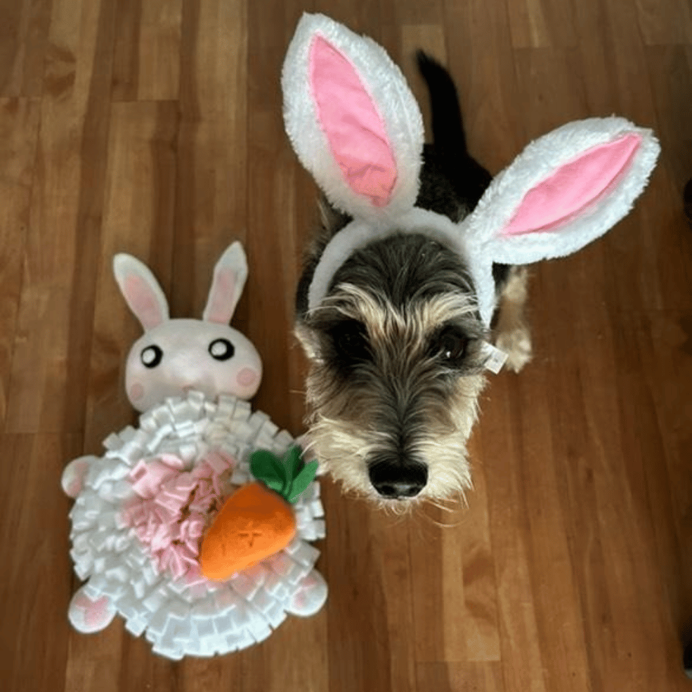 Bunny Snuffle Mat