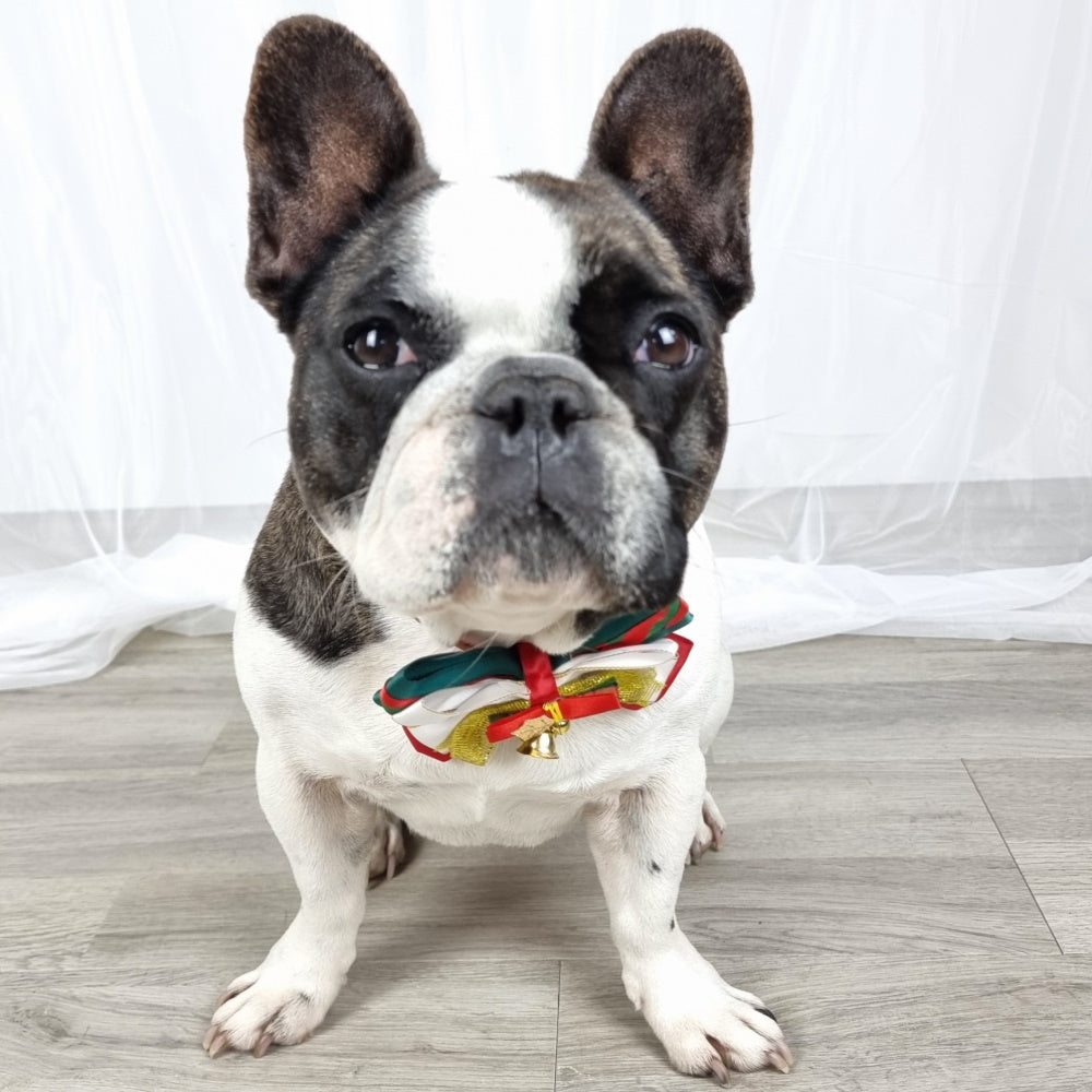 Mistletoe & Bells Bow Knot Christmas Collar