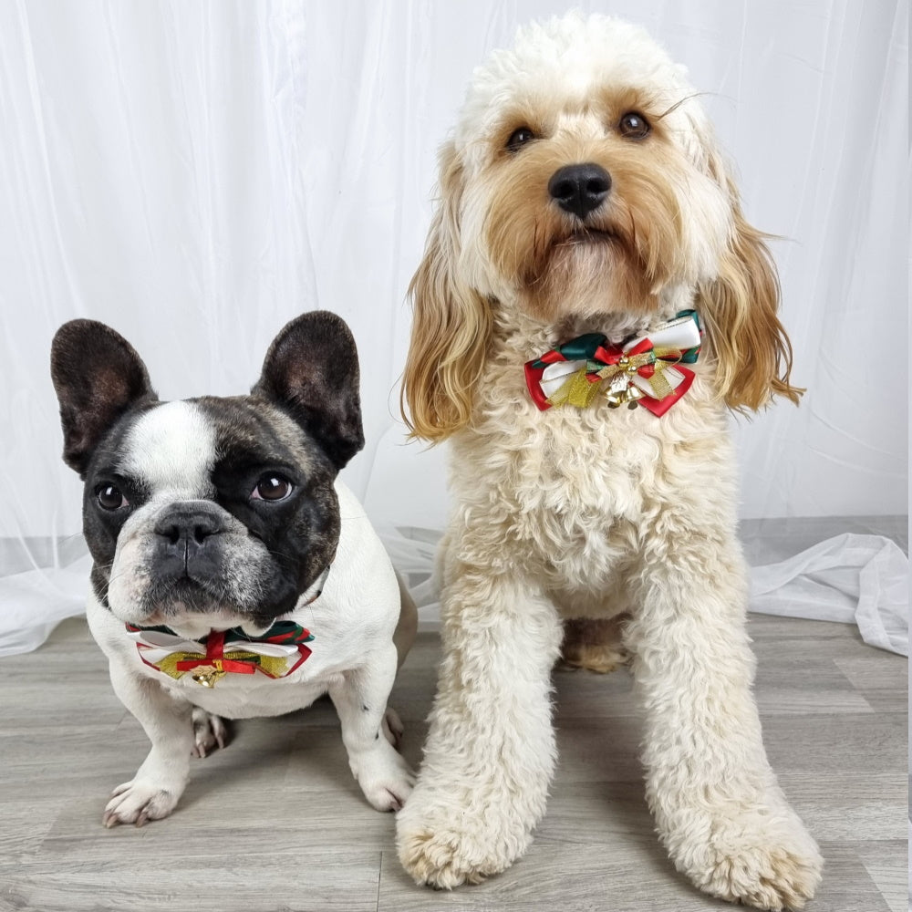 Mistletoe & Bells Bow Knot Christmas Collar