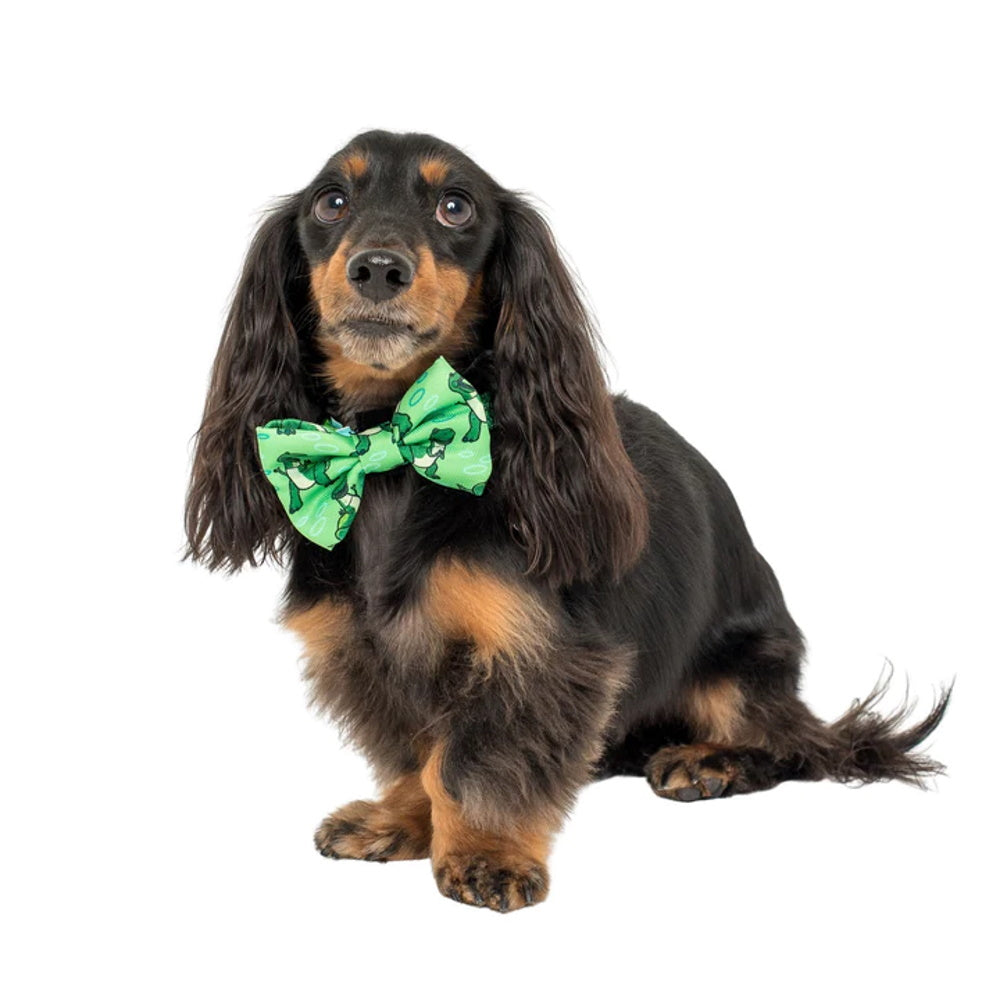 Pablo & Co Toy Story - Rex: Bow Tie