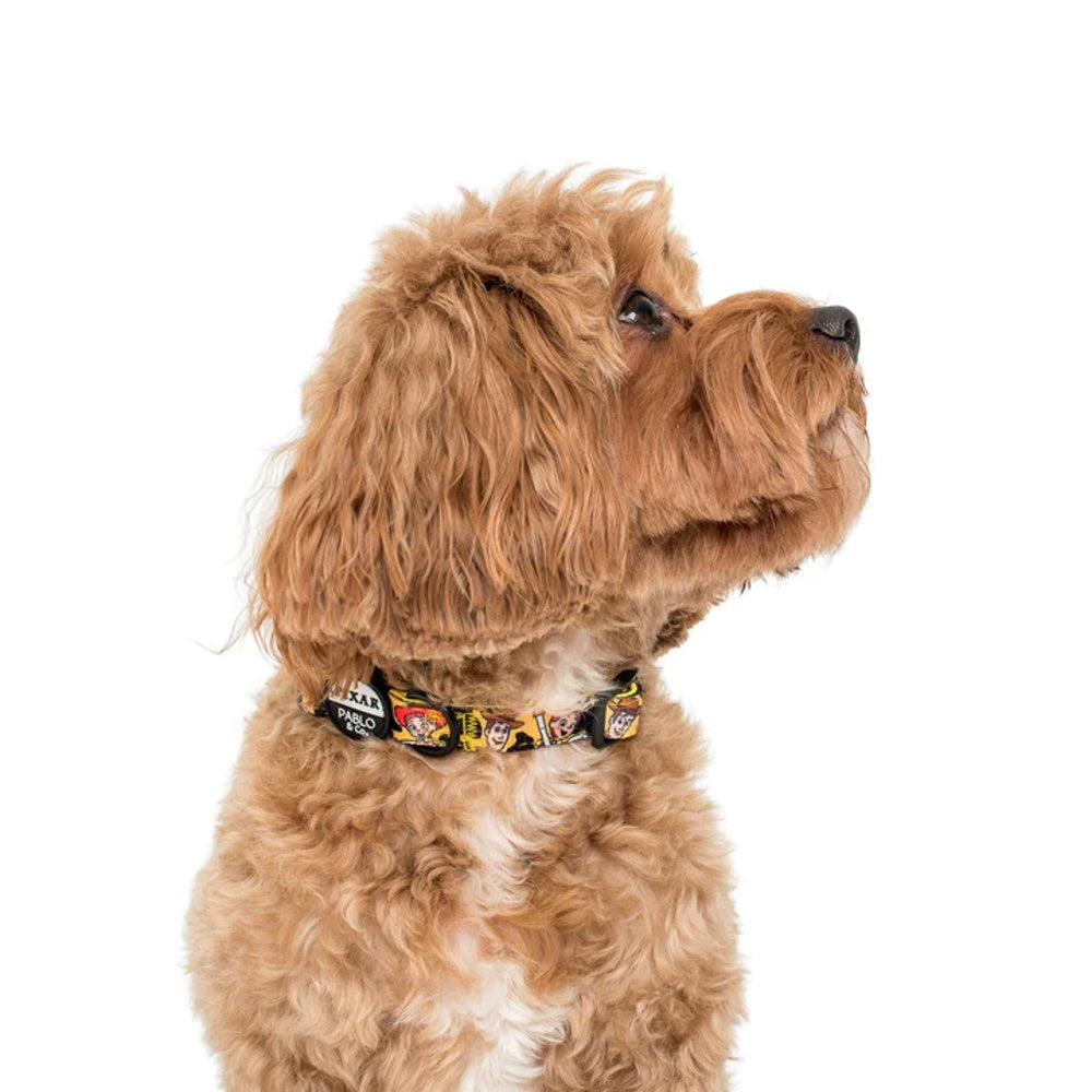 Pablo & Co Toy Story - Woody's Roundup: Dog Collar