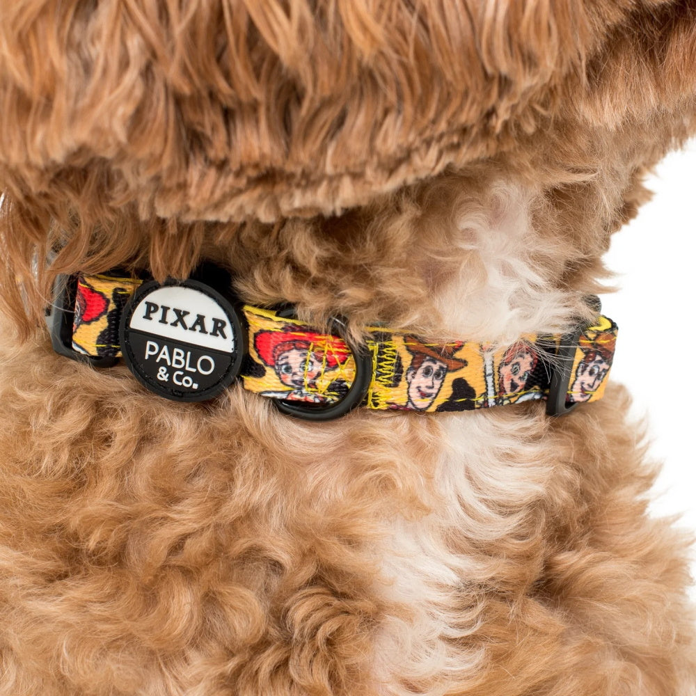 Pablo & Co Toy Story - Woody's Roundup: Dog Collar