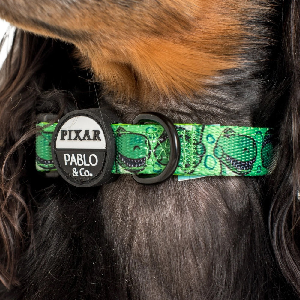 Pablo & Co Toy Story - Rex: Dog Collar