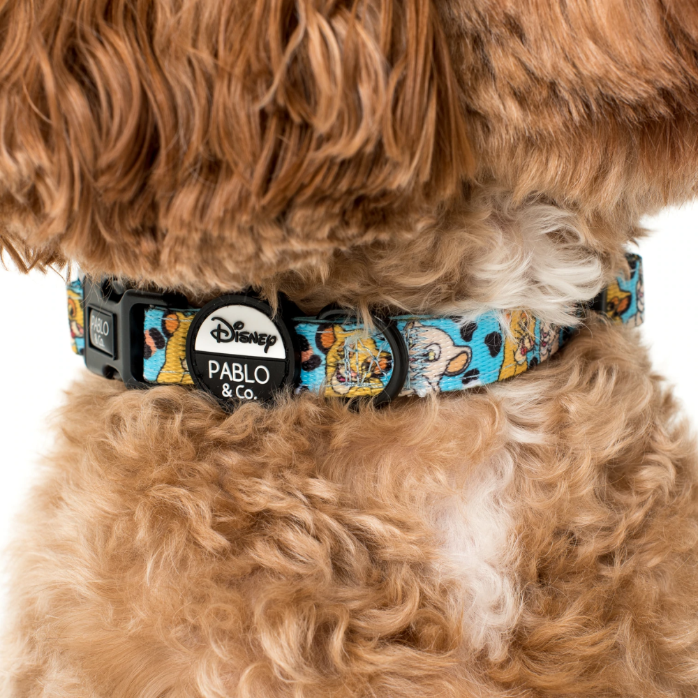 Pablo & Co The Lion King: Dog Collar