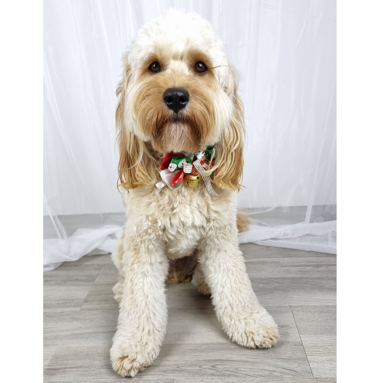 Reindeer Bow Knot Christmas Collar