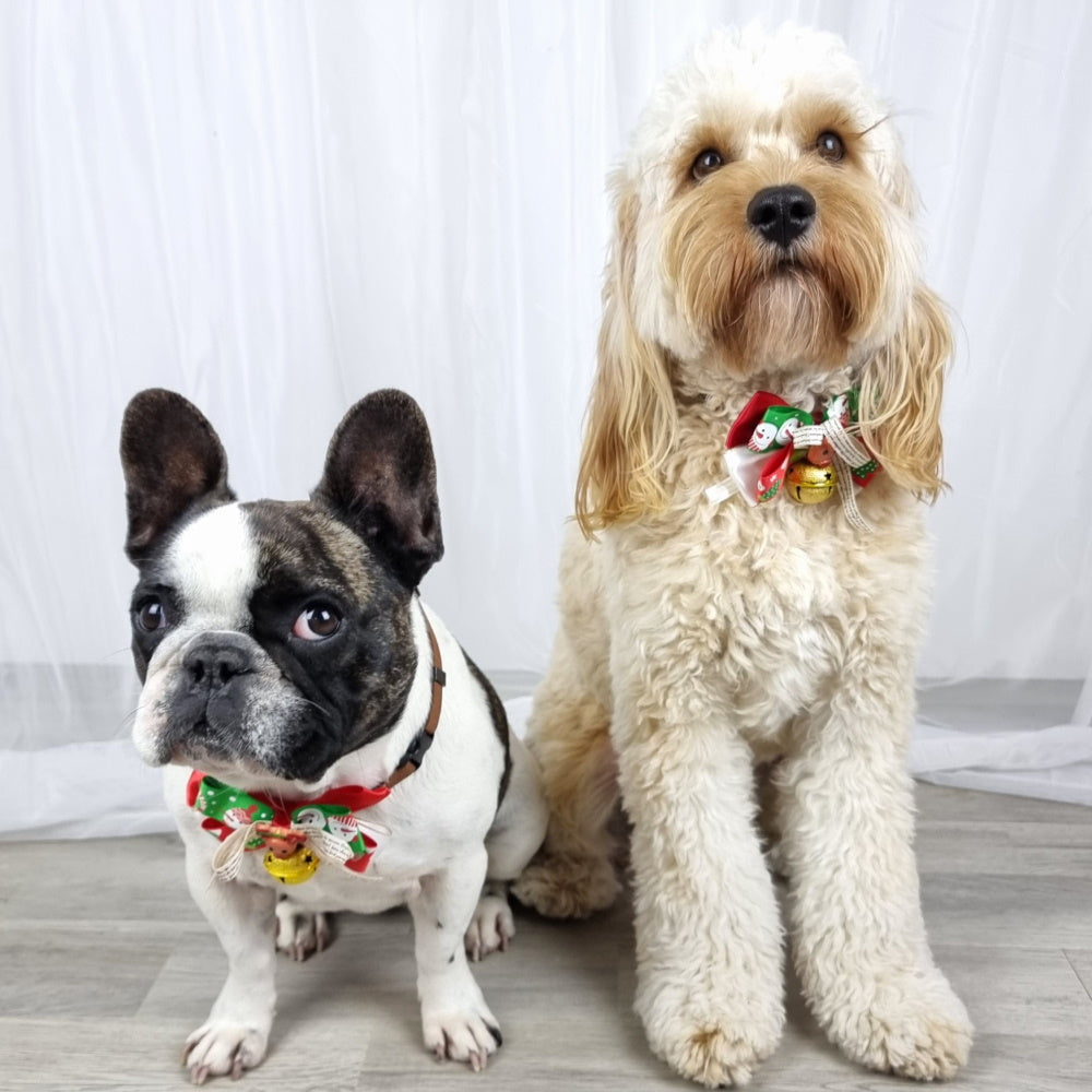 Reindeer Bow Knot Christmas Collar