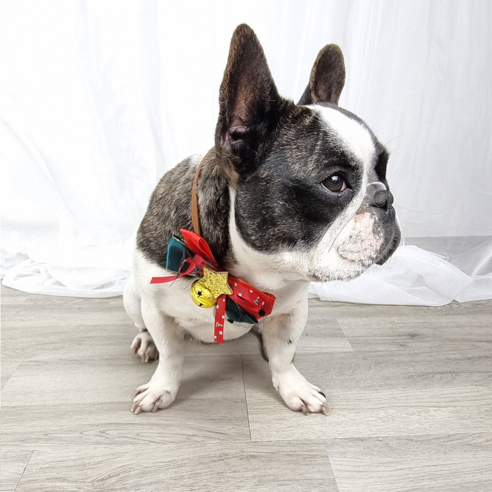 Star Bow Knot Christmas Collar