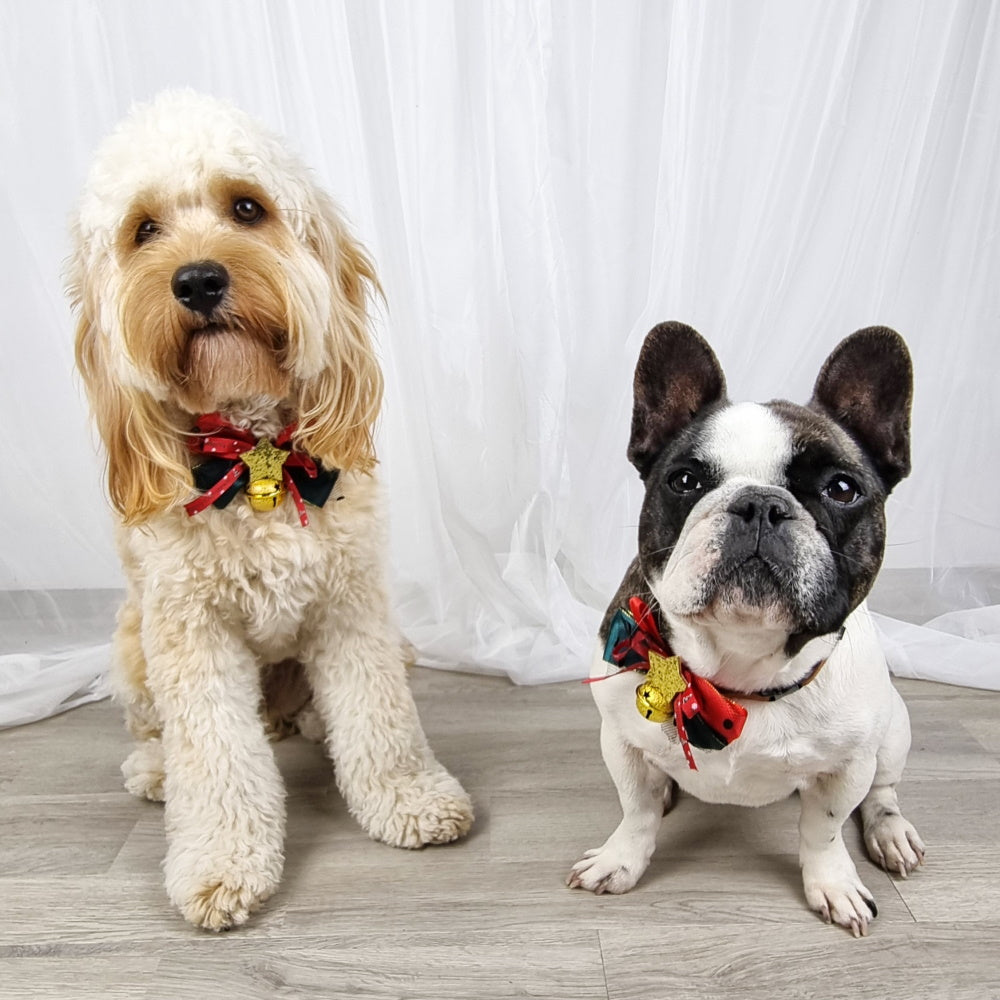 Star Bow Knot Christmas Collar
