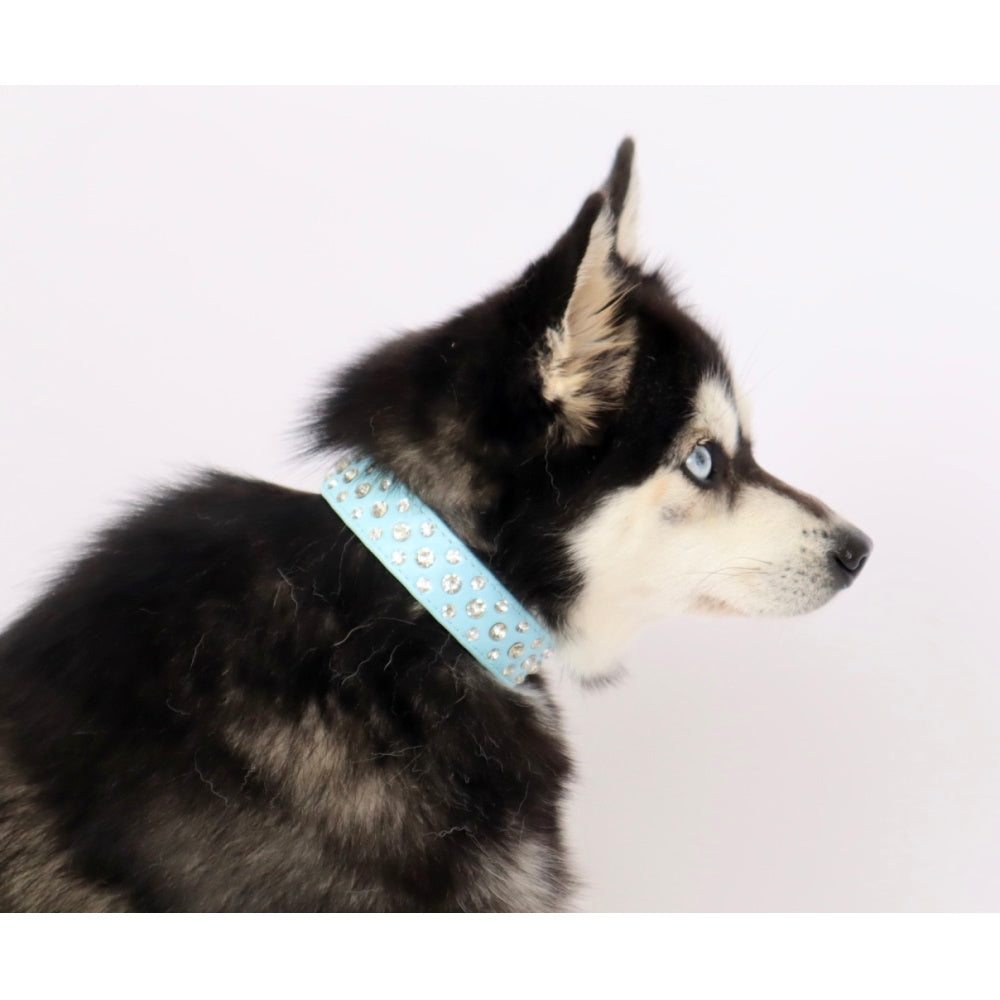 Rhinestone studded Dog Collar