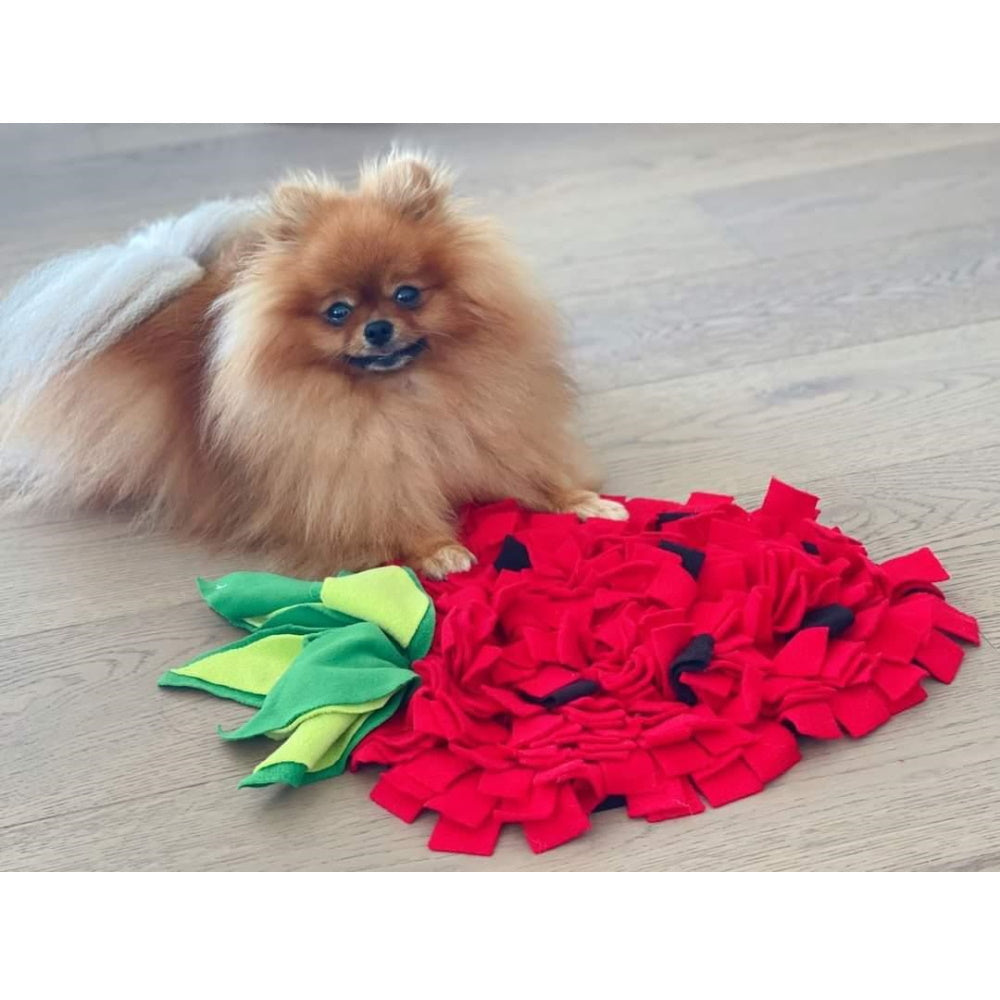 Strawberry Snuffle Mat