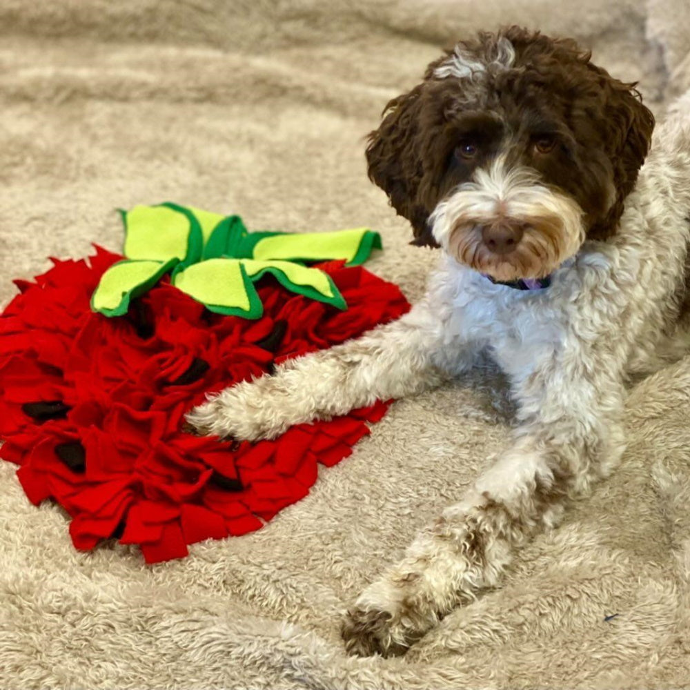 Strawberry Snuffle Mat