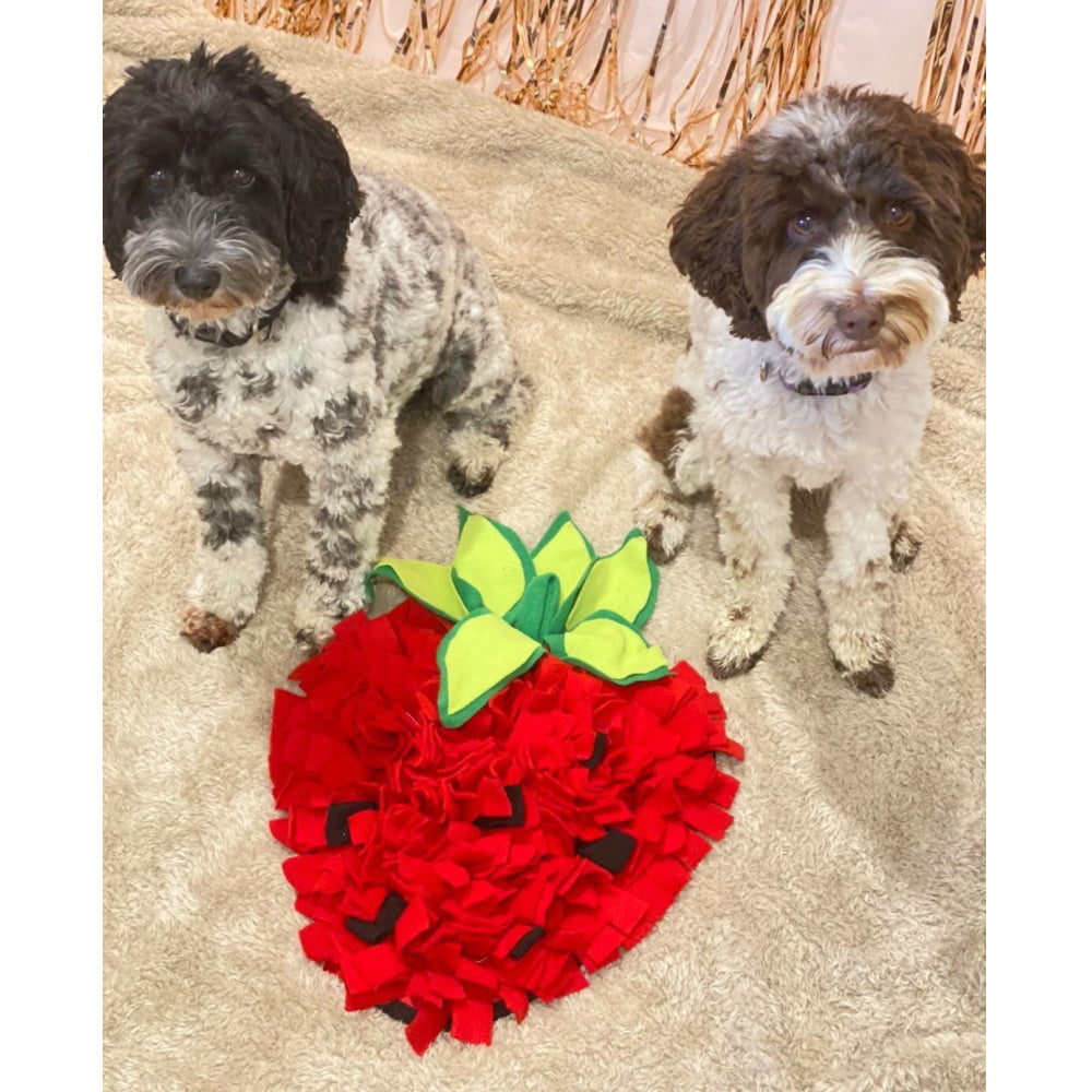 Strawberry Snuffle Mat