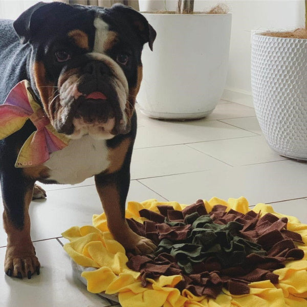 Sunflower Snuffle Mat