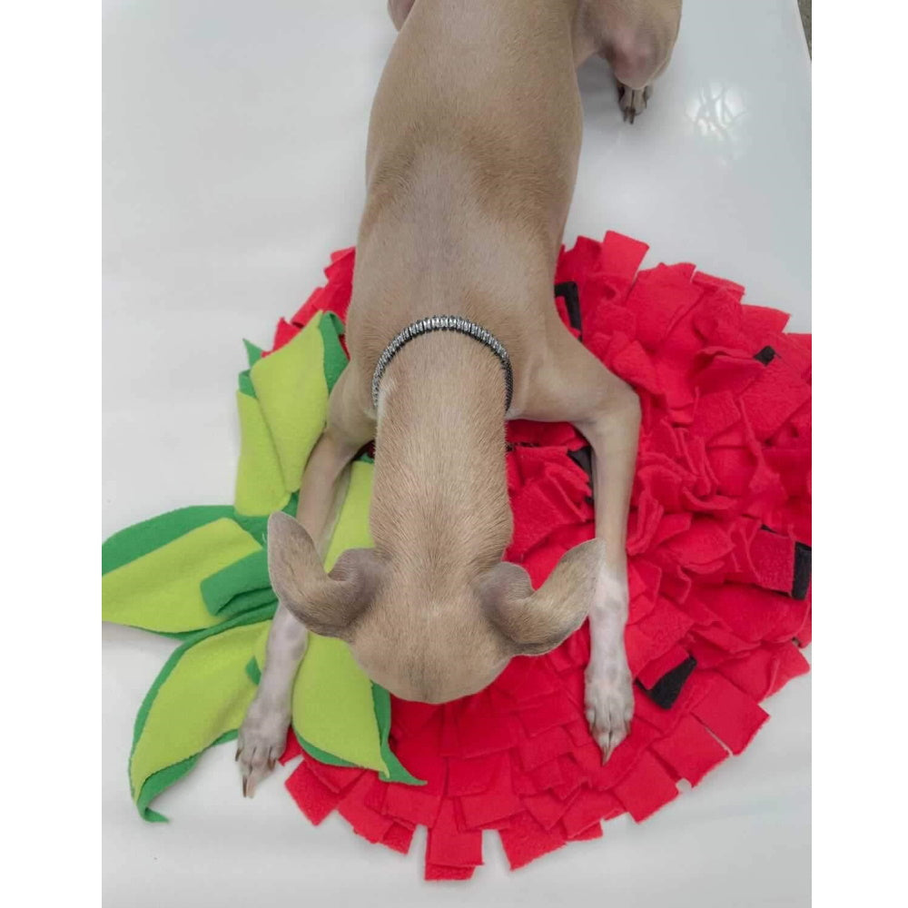 Strawberry Snuffle Mat