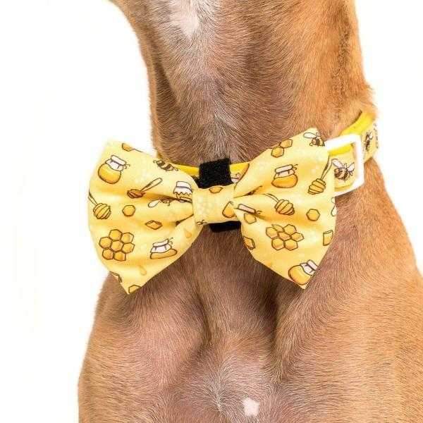 Big & Little Dogs Bee-Hiving Collar & Bow Tie