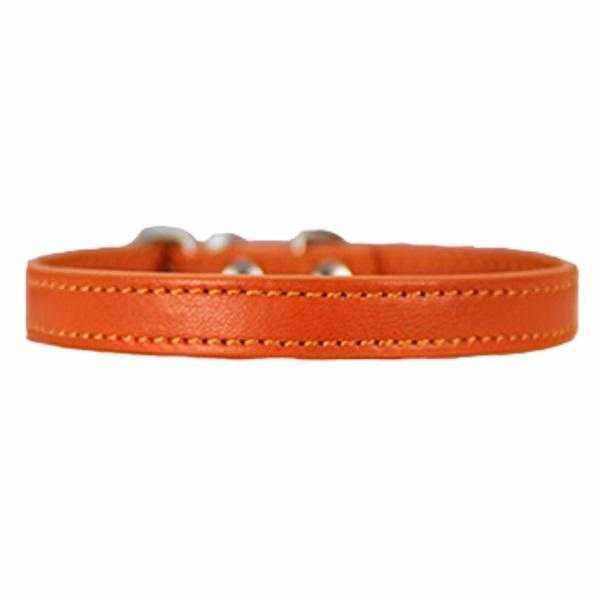 Buckle Dog Collar