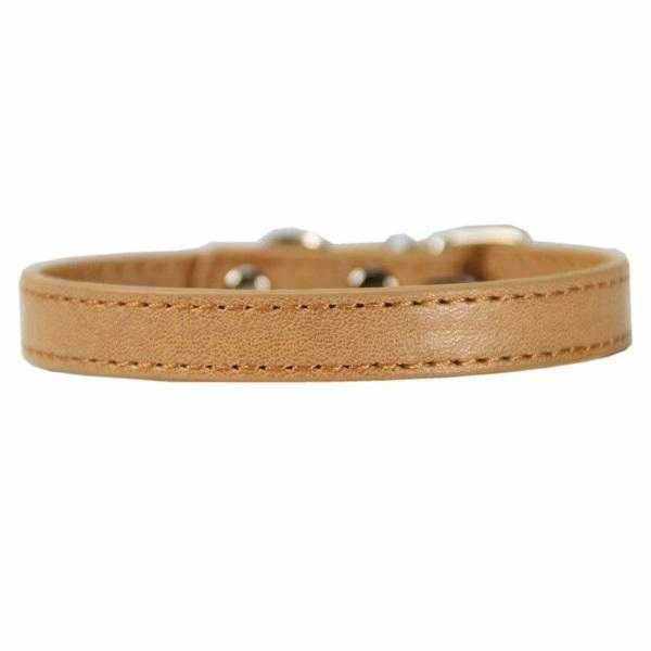 Buckle Dog Collar