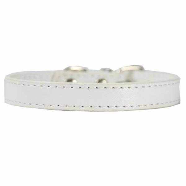 Buckle Dog Collar