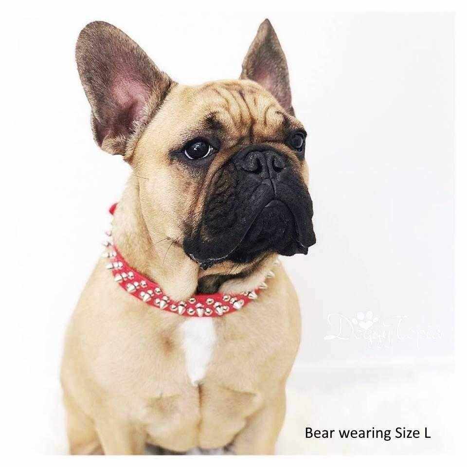 Spike Studded Dog Collar